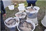 Maatregelen waterkwaliteit Noorddiep