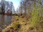 Stimuleringsregeling voor aanleg, herstel en onderhoud van landschapselementen.