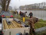Gaaskooien geplaatst in het Noorddiep