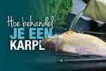 Hoe behandel je een karper?